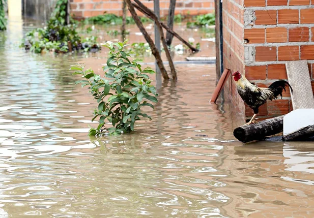 Fortes chuvas em Teresina atingiram moradores da Vila Apolônio, zona Norte de Teresina