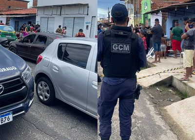 Guarda Municipal de Teresina atendeu a ocorrência