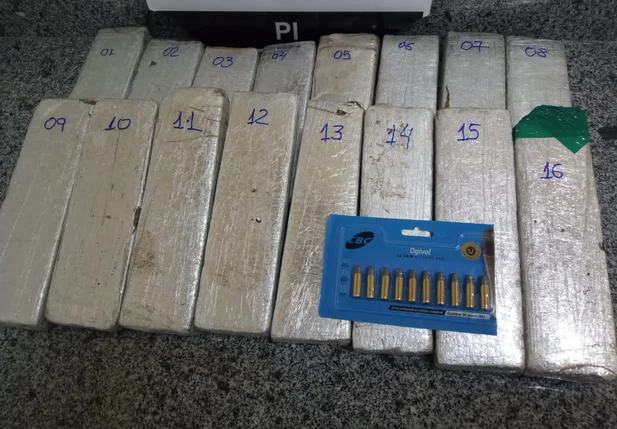 Homem é preso com 10kg de maconha dentro de ônibus na PI 140
