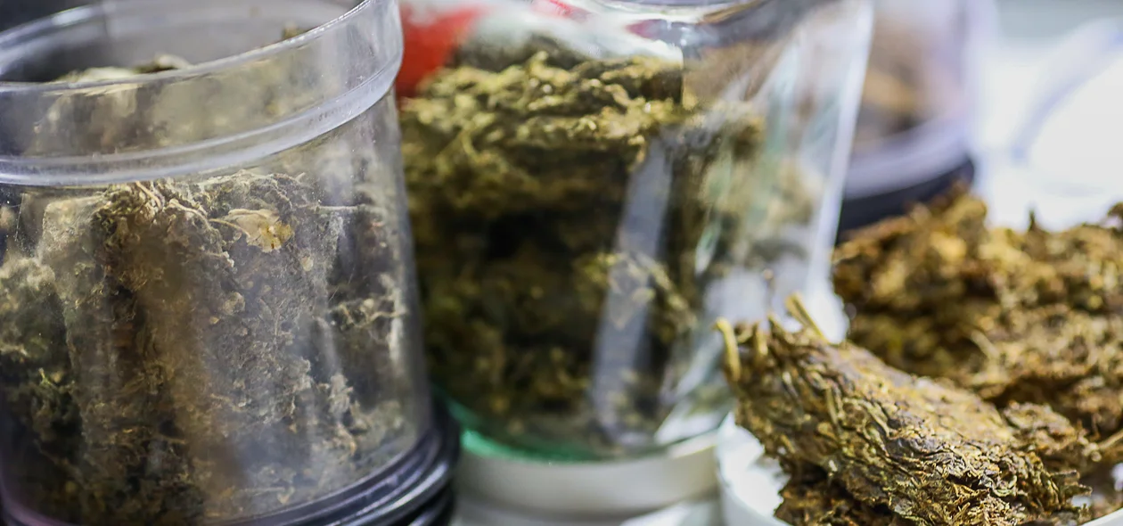 Muita maconha apreendida pela polícia