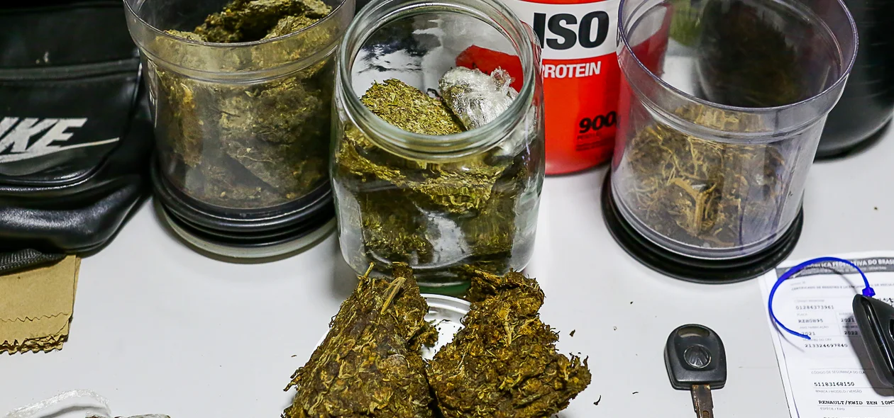 Muita maconha apreendida