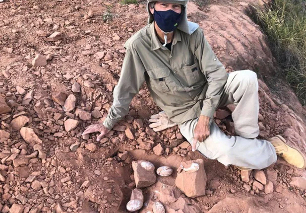 Paleontólogo encontrou ovos de dinossauro durante escavações (1)