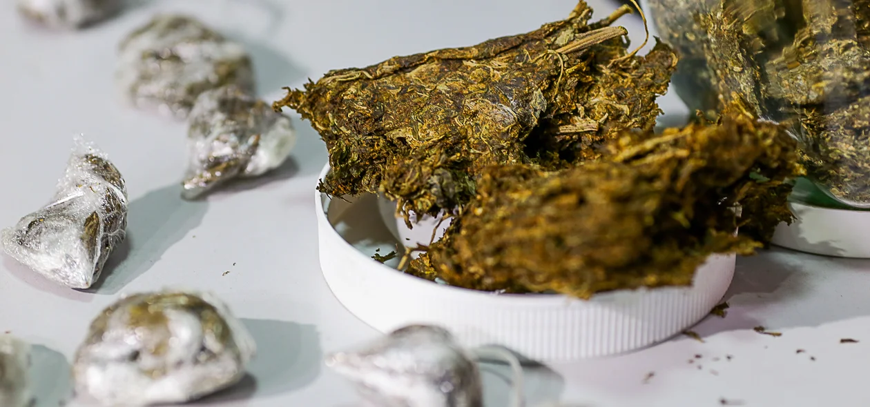 Supermaconha apreendida pela Depre em Teresina