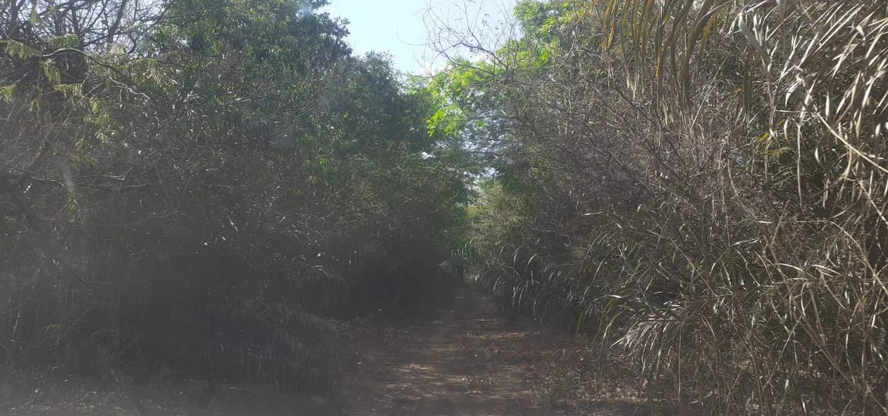 Área de Soltura de Animais Silvestres registrada pelo Ibama