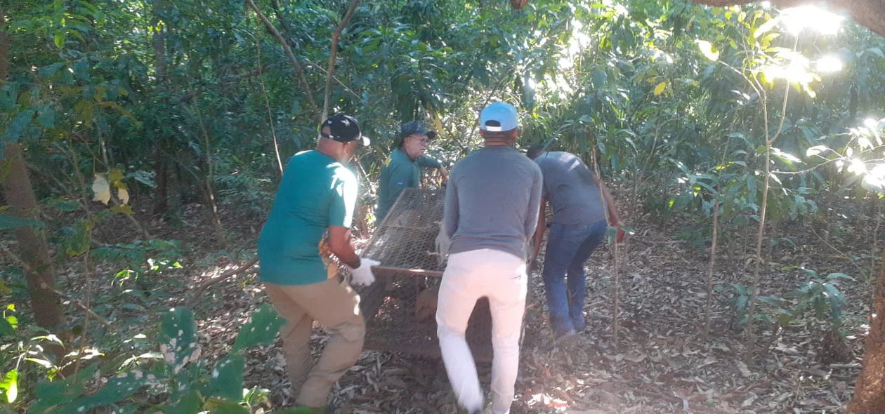 As equipes técnicas pernamecerão na área de soltura por mais alguns dias