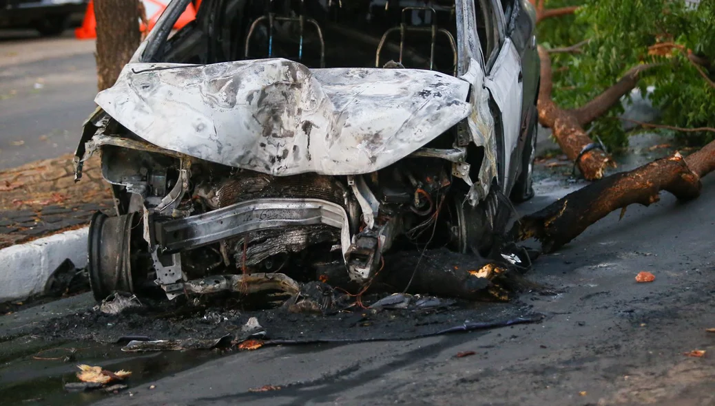 Carro de passeio pegou fogo após colidir na árvore