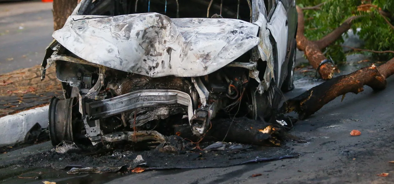 Carro de passeio pegou fogo após colidir na árvore
