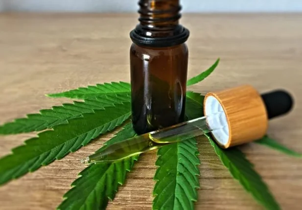 CFM suspende norma que restingi prescrição da cannabis medicinal
