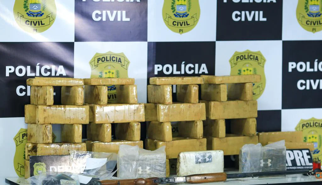 Drogas apreendidas pela DEPRE na zona sul de Teresina