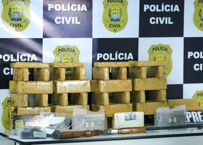 Drogas apreendidas pela DEPRE na zona sul de Teresina