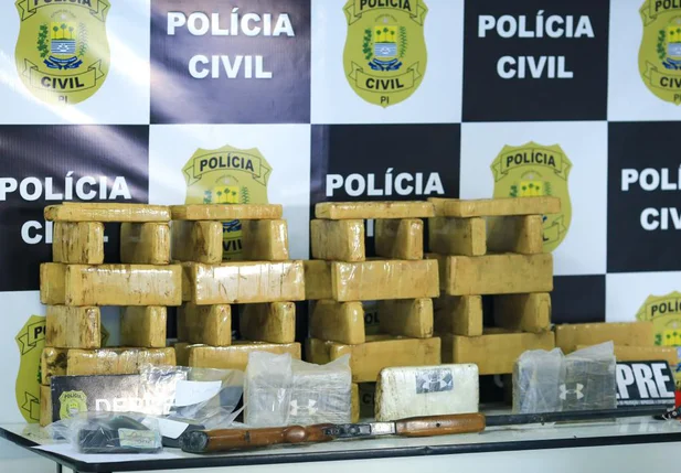 Drogas apreendidas pela DEPRE na zona sul de Teresina