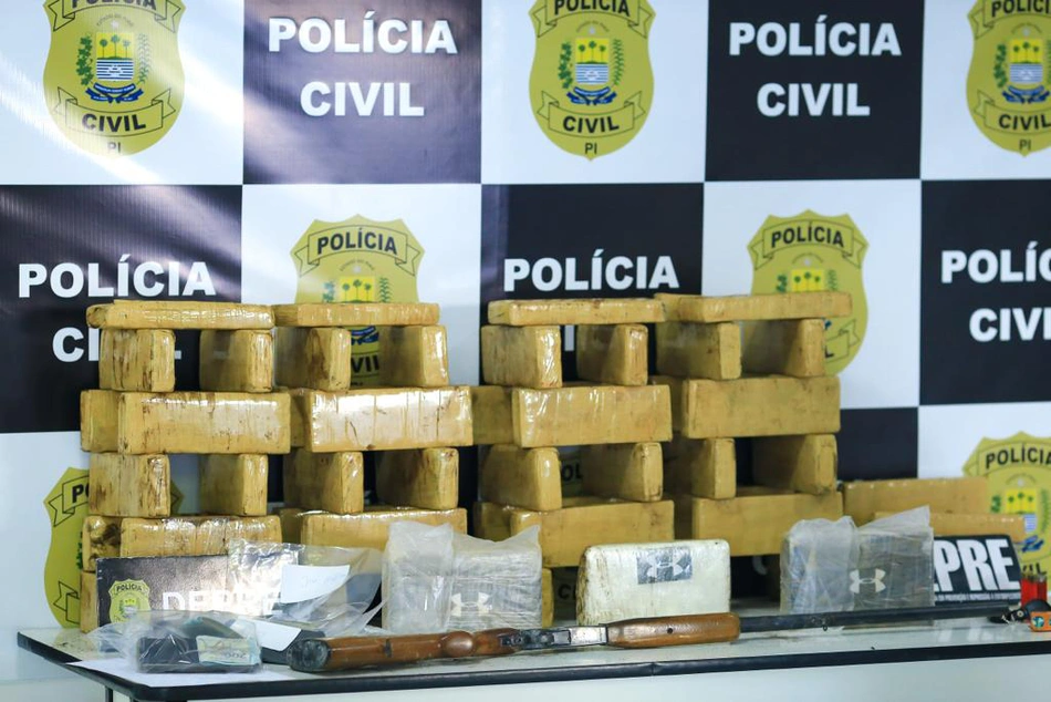 Drogas apreendidas pela DEPRE na zona sul de Teresina