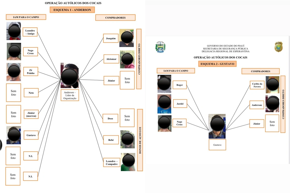 Esquema da organização criminosa