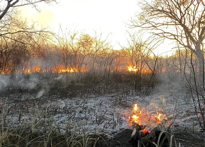 Incêndio em Dirceu Arcoverde