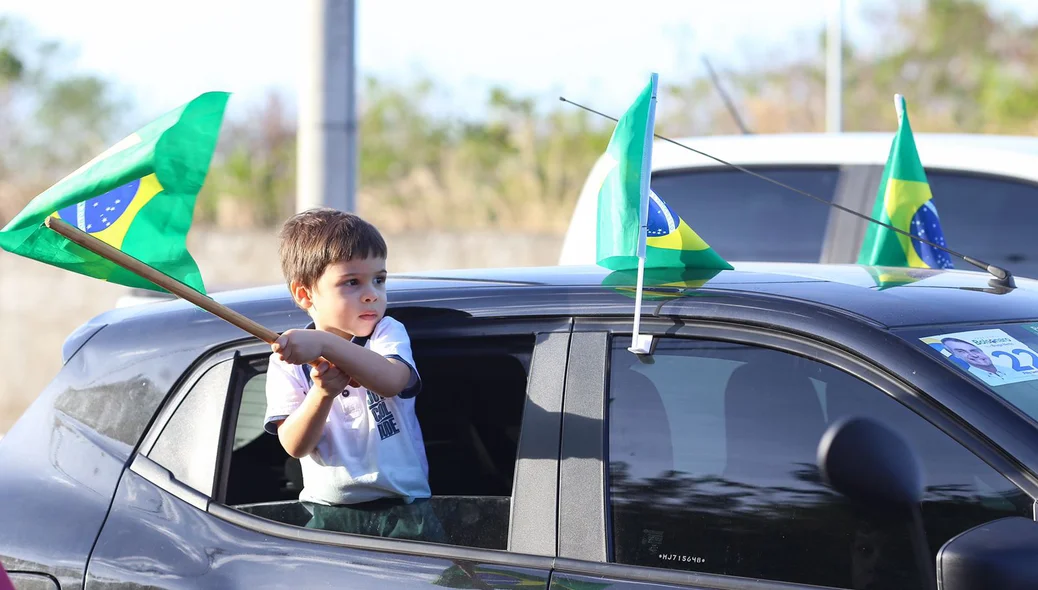 Menino balançando bandeira do Brasil