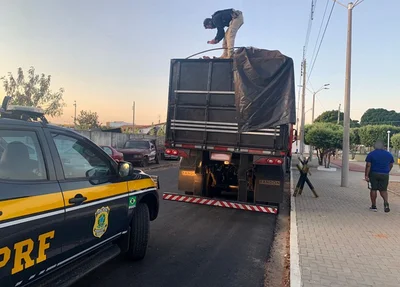 PRF apreende caminhões carregados com madeira ilegal no Piauí