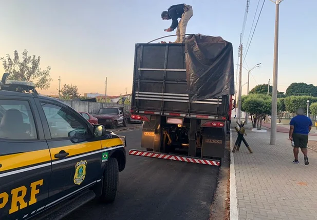 PRF apreende caminhões carregados com madeira ilegal no Piauí