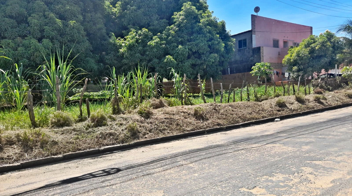 Situação de calçada na Avenida Celso Pinheiro
