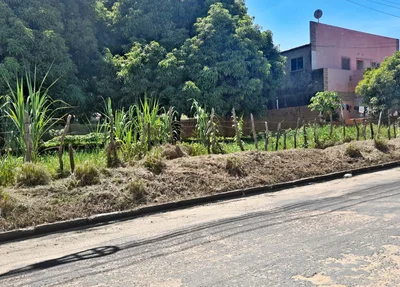 Situação de calçada na Avenida Celso Pinheiro