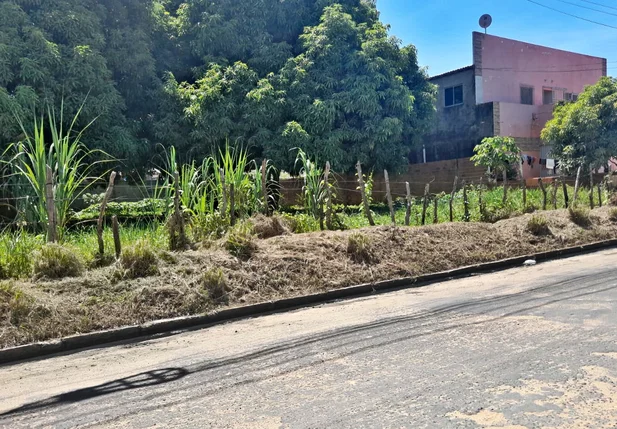 Situação de calçada na Avenida Celso Pinheiro