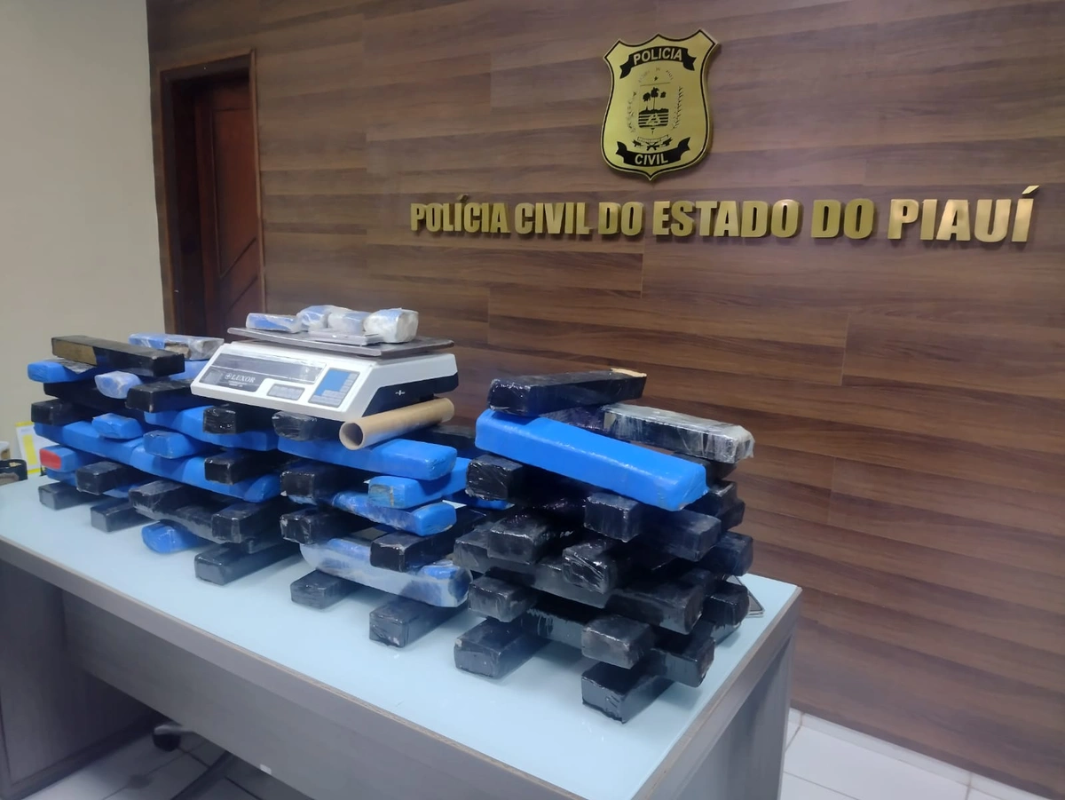 Tabletes de maconha apreendidos pela Polícia Civil