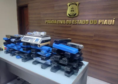 Tabletes de maconha apreendidos pela Polícia Civil