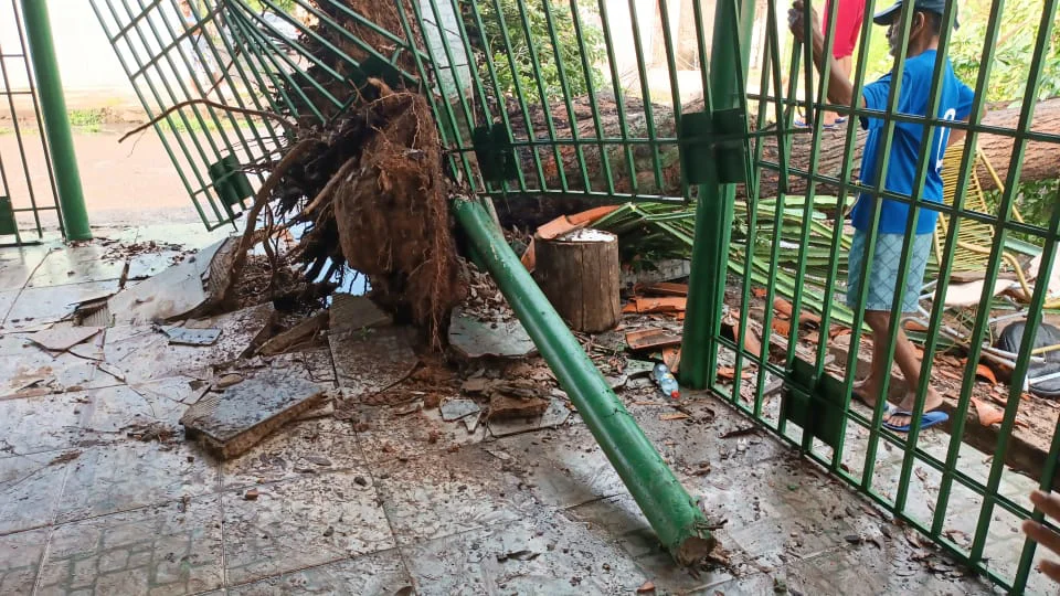 A arvóre que caiu deixou quase invadiu um bar no São Joaquim