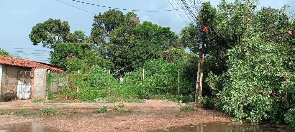 A chuva, embora rápida, teve forte vento