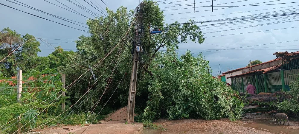 Além da arvóre que caiu, o bairro São Joaquim ficou sem energia
