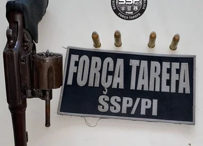 Arma e munições apreendidas