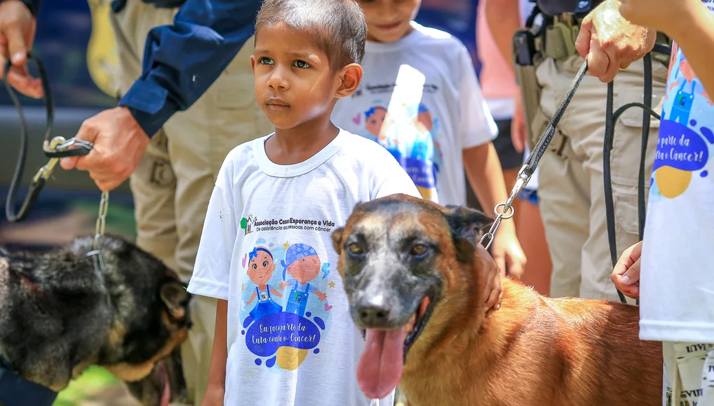 Cães da PRF participam da ação