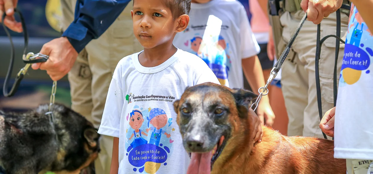 Cães da PRF participam da ação