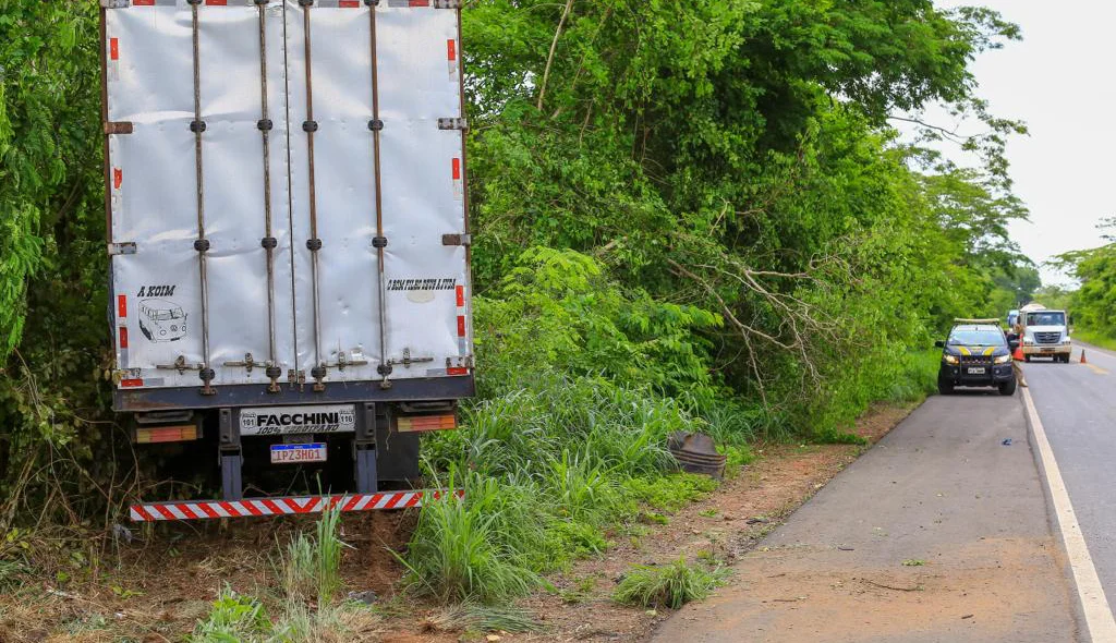 Caminhão foi parar dentro do matagal