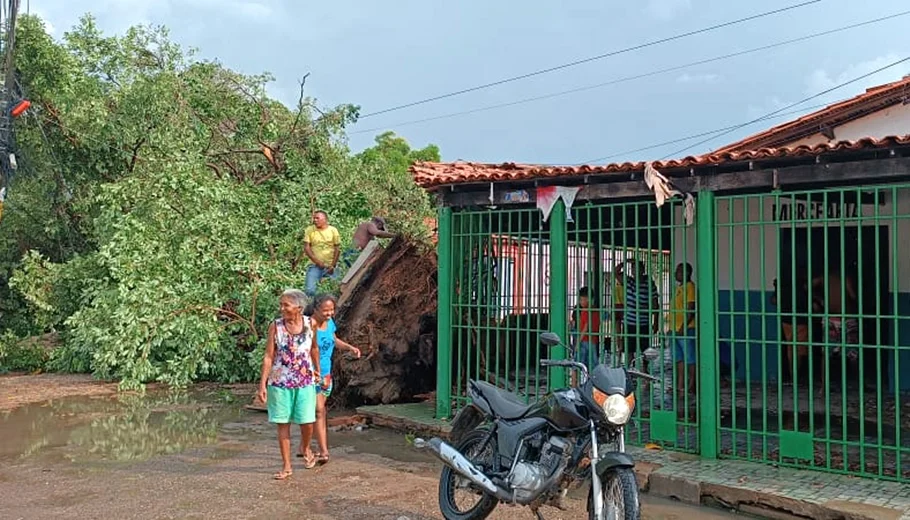 Chuva rápida causou estragos na zona norte de Teresina