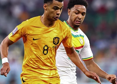 Cody Gakpo marcou seu primeiro gol em Copas e o primeiro da Holanda no Mundial do Catar