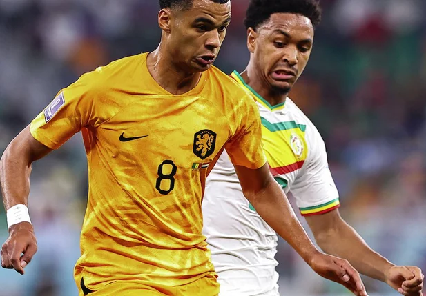 Cody Gakpo marcou seu primeiro gol em Copas e o primeiro da Holanda no Mundial do Catar