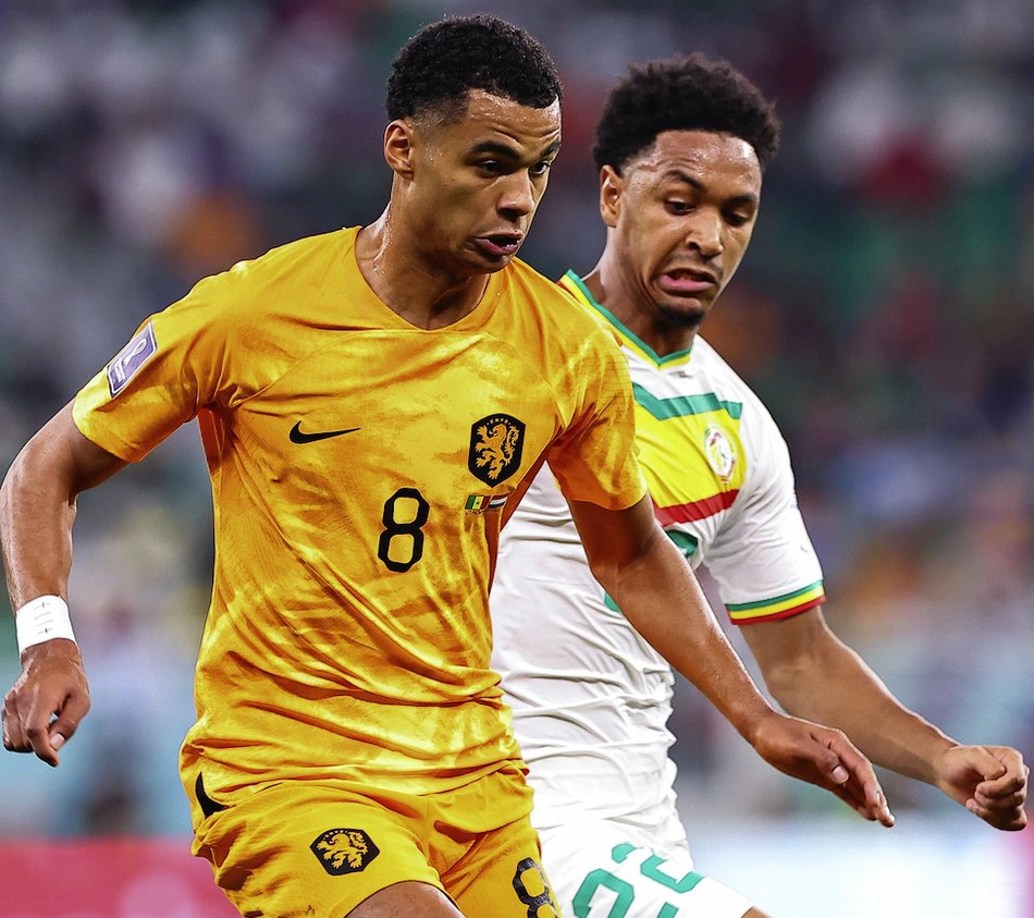 Cody Gakpo marcou seu primeiro gol em Copas e o primeiro da Holanda no Mundial do Catar