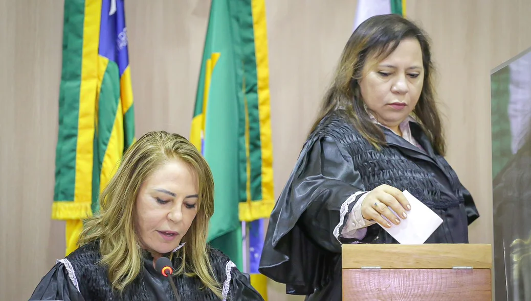 Conselheira Waltânia Alvarenga votando