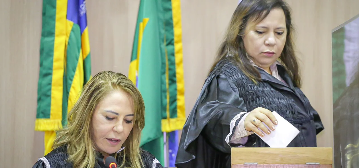 Conselheira Waltânia Alvarenga votando