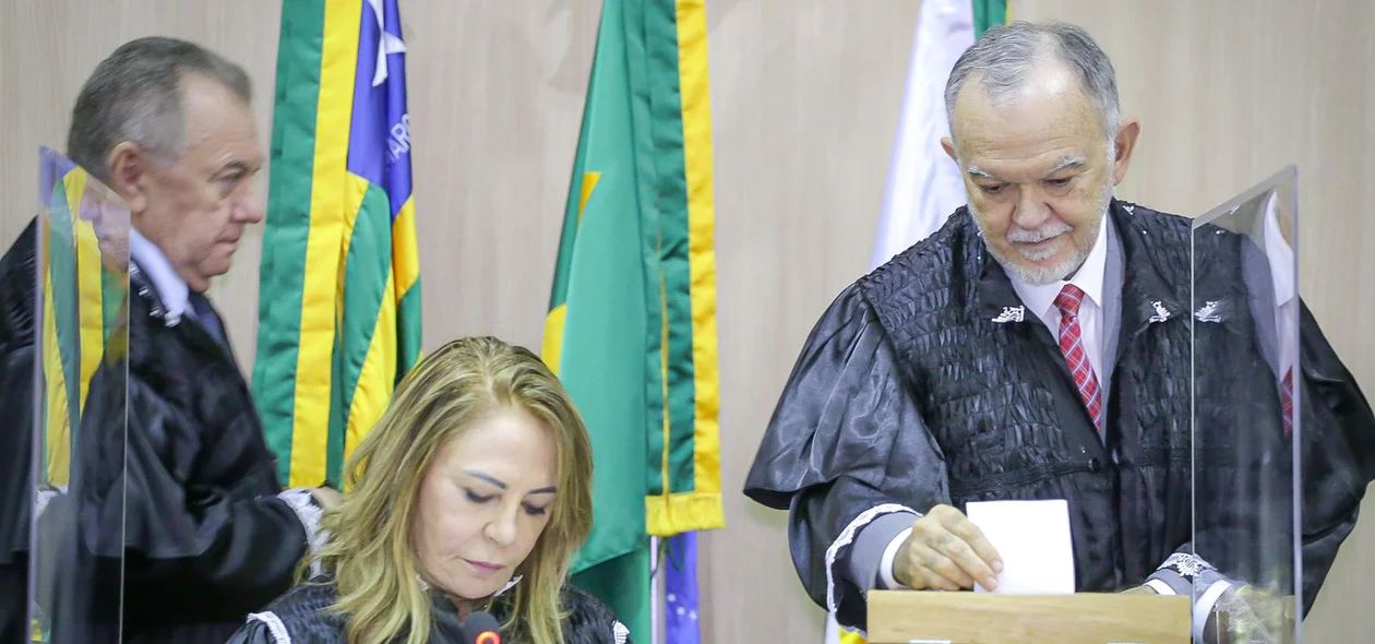 Conselheiro Olavo Rebelo votando