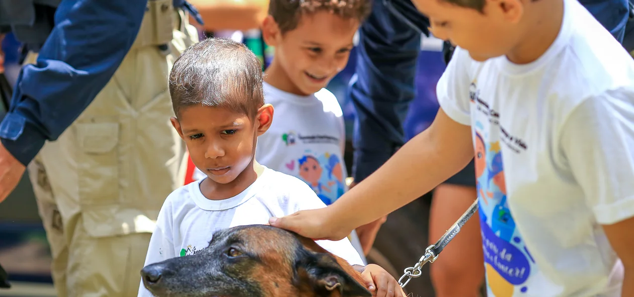 Dia Nacional de Combate ao Câncer Infantil