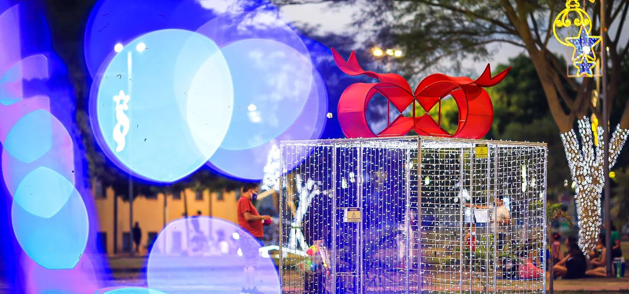 Dr. Pessoa entregou decoração de Natal
