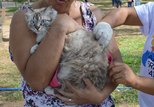 FMS vai vacinar cães e gatos neste sábado (26) com drive thru na ponte Estaiada.