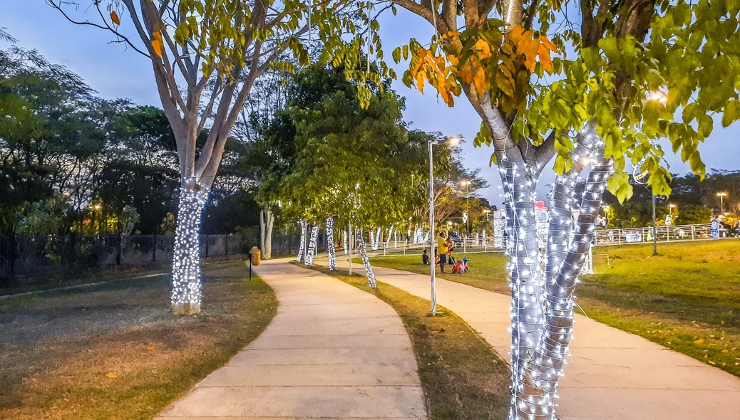 Luzes de led nas árvores