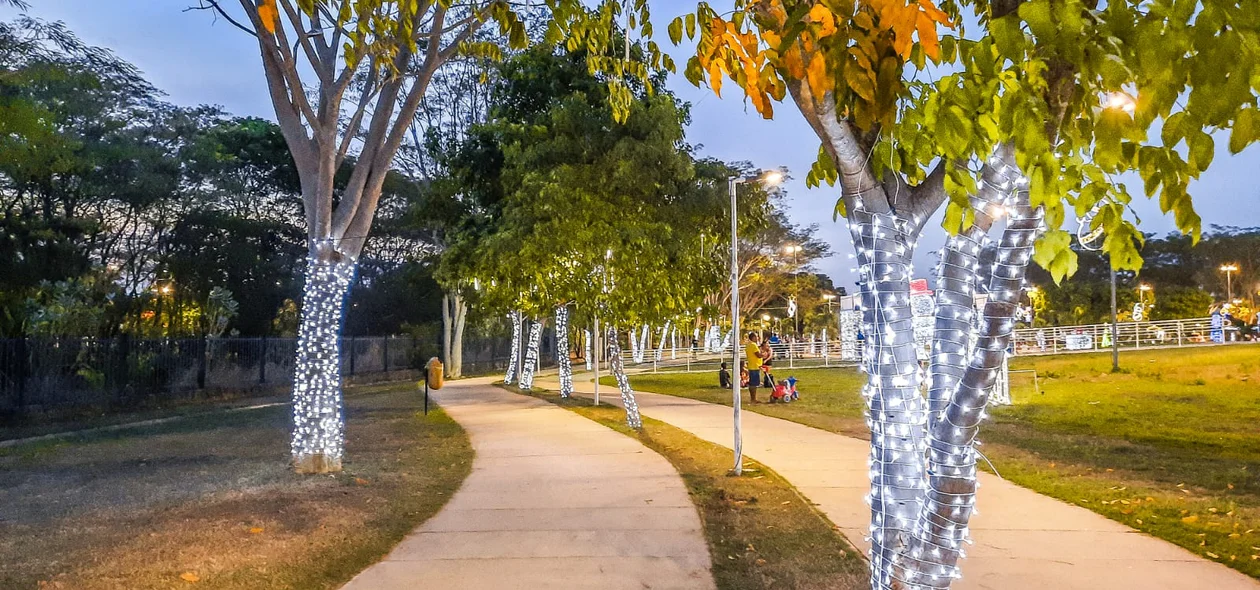 Luzes de led nas árvores