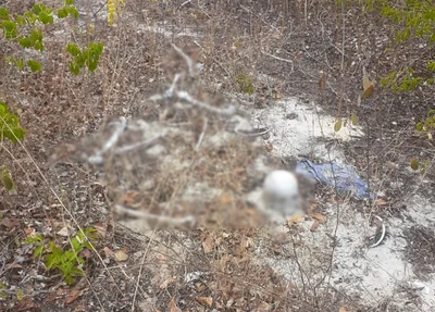 Ossada humana foi encontrada em Parnaíba