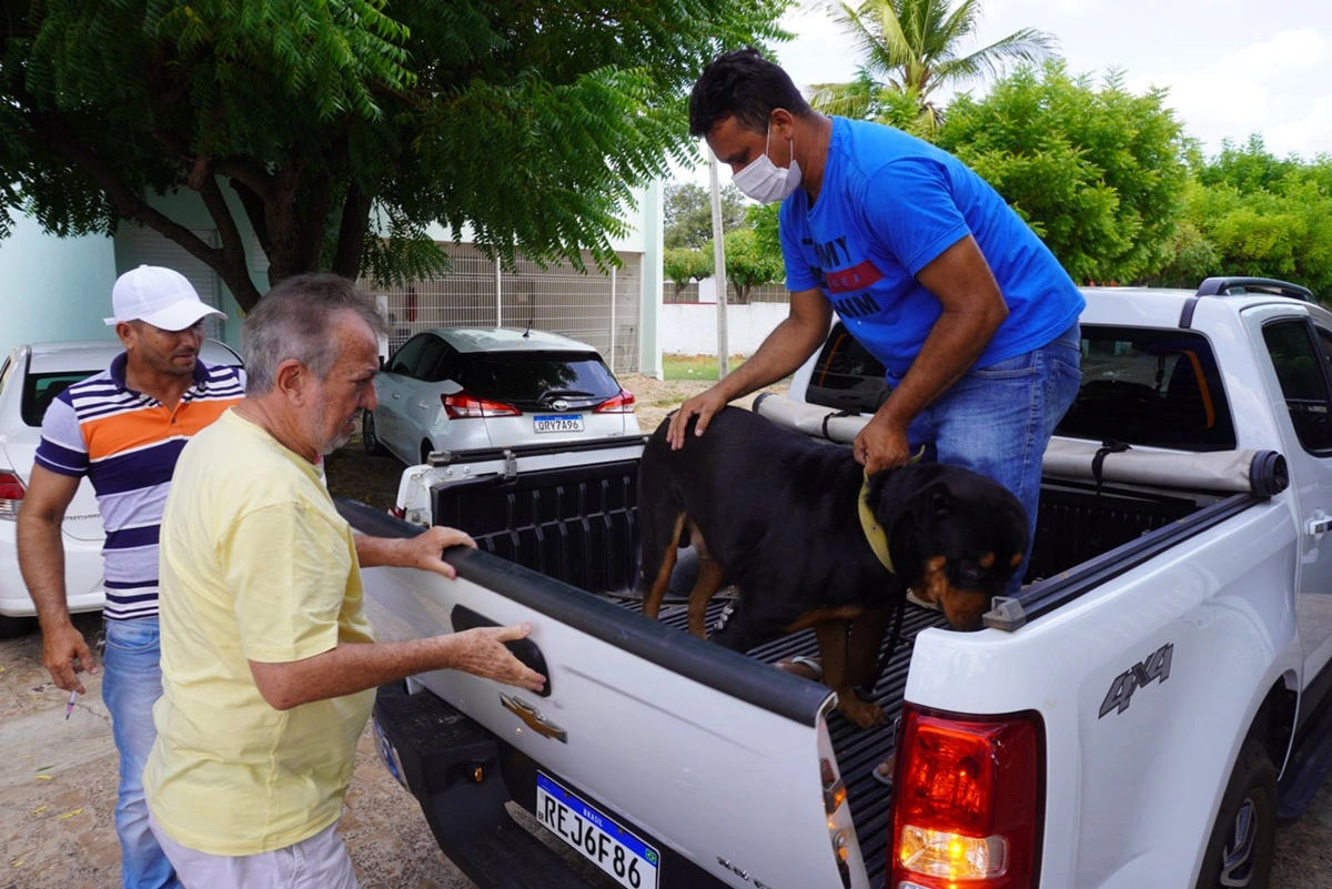 Prefeitura de Campo Maior realização vacinação antirrábica