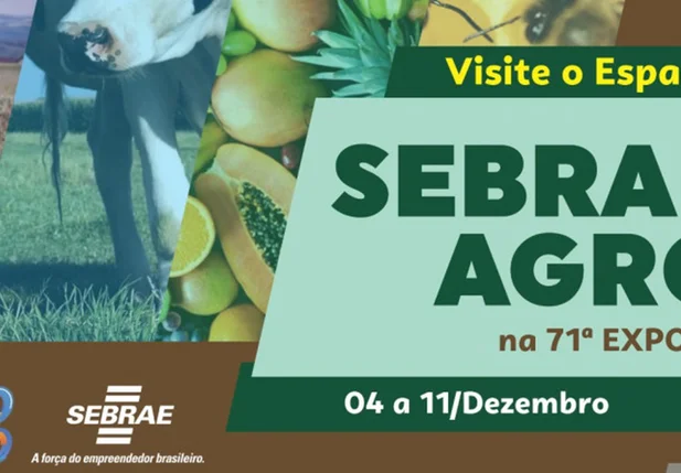 Sebrae Agro na 71º Expoapi