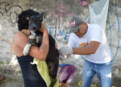 Vacinação antirrábica