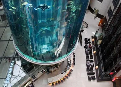 Aquário abrigava espécies exóticas, como o peixe-palhaço.